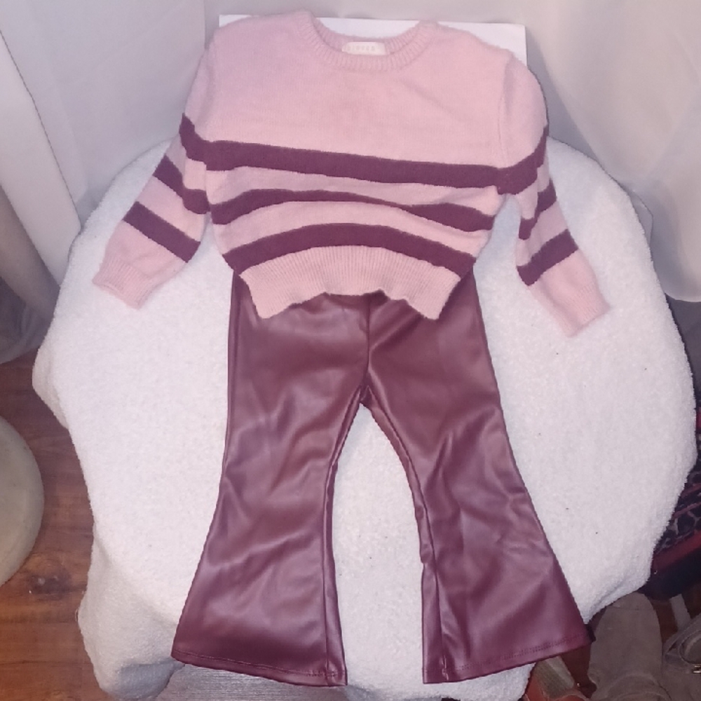 Striped Pink and Burgundy Toddler's Sweater And Bell Shiny Pants Set